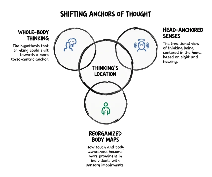 Anclas del pensamiento en movimiento: tres círculos se cruzan en la ubicación del pensamiento; pensamiento corporal completo (hipótesis centrada en el torso), sentidos anclados a la cabeza (vista y oído), mapas corporales reorganizados (tacto y conciencia corporal con discapacidad sensorial) Anclas del pensamiento en movimiento: tres círculos se cruzan en la ubicación del pensamiento; pensamiento corporal completo (hipótesis centrada en el torso), sentidos anclados a la cabeza (vista y oído), mapas corporales reorganizados (tacto y conciencia corporal con discapacidad sensorial)