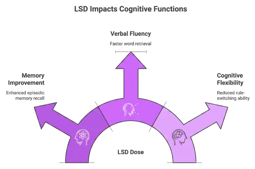Infographic from an LSD dose: three arrows for memory improvement (enhanced episodic recall), verbal fluency (faster word retrieval), and cognitive flexibility (reduced rule-switching on tasks like the Wisconsin Card Sorting Test)